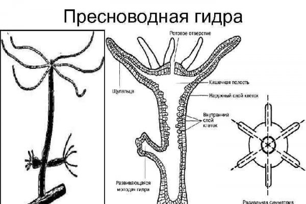 Где купить наркотиков