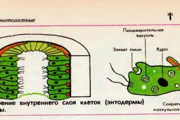 Kraken официальные зеркала kraken 11